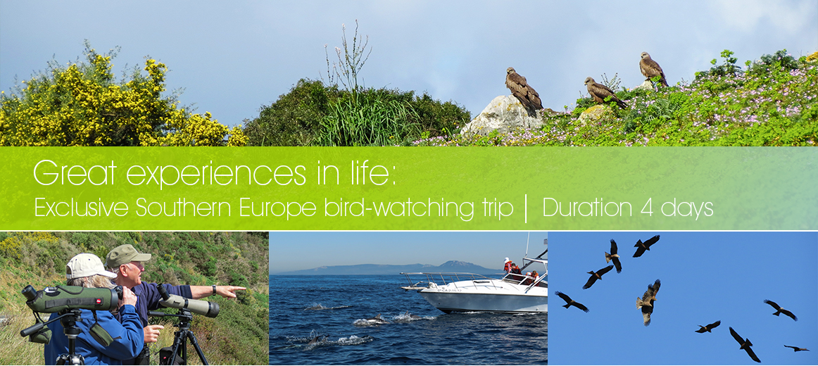 Exclusive bird watching in Southern Europe