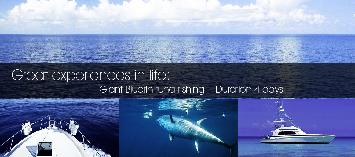 Four days of Giant Bluefin tuna fishing