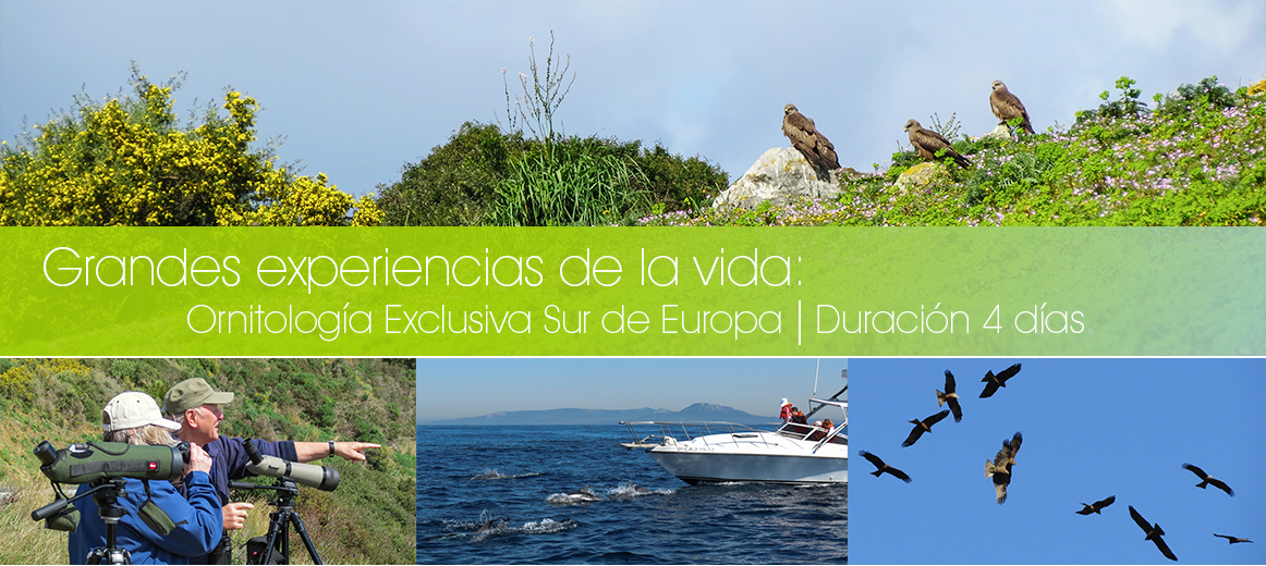 Ornitología exclusiva del Sur de Europa